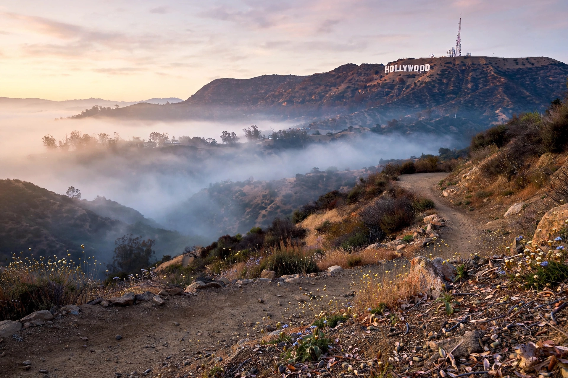 Hollywood Sign at sunrise viewed from a hillside trail with morning fog, recalling the early-morning hike in the Hollywood sign mummified dominatrix Sabine Tautou stunt