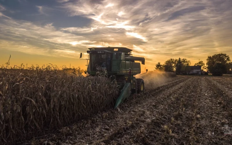 Combine harvester harvesting corn at sunset as Trump announces $8 billion harvest fuel relief program for farmers.