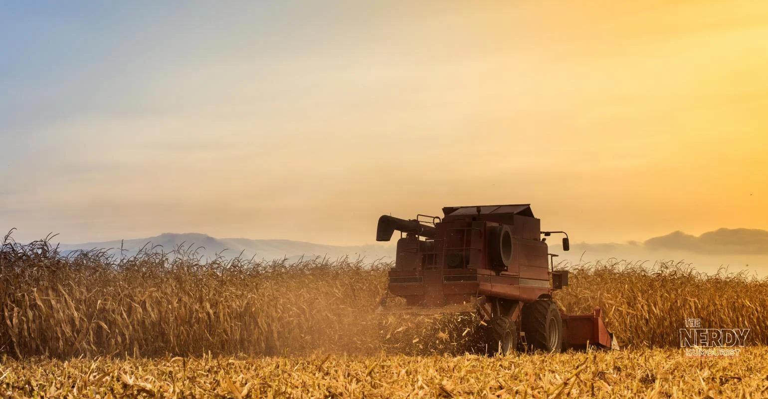 A combine harvester cuts through a corn field in the evening during harvest fuel relief program season.