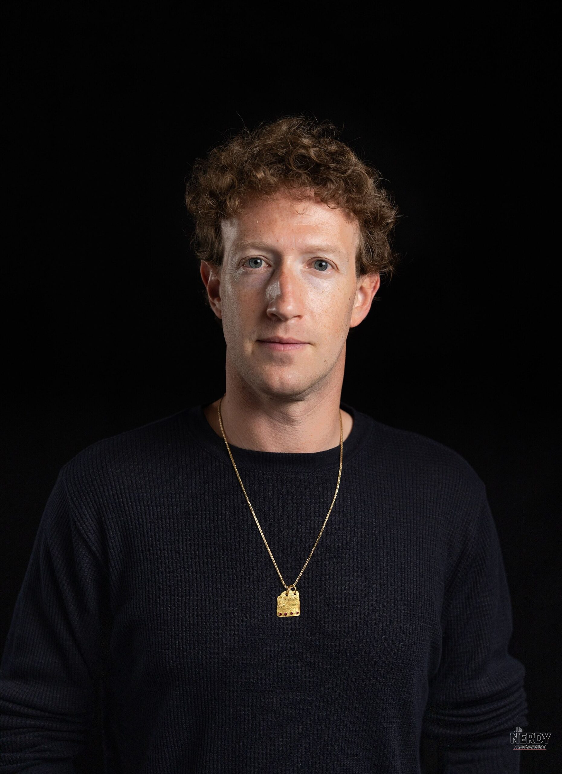 Meta CEO Mark Zuckerberg in a 2025 portrait (file photo)