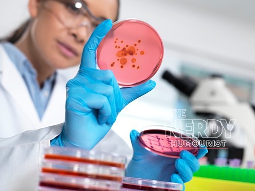 Generic microbiology laboratory with petri dishes; not the Irkutsk facility